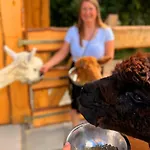 別荘 Ferienhaeuser Saalemaxx ルドルシュタット