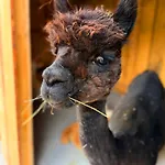 別荘 Ferienhaeuser Saalemaxx *