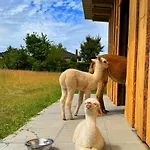 度假居 Ferienhaeuser Saalemaxx 鲁多尔施塔特