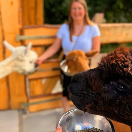 度假居 Ferienhaeuser Saalemaxx 鲁多尔施塔特