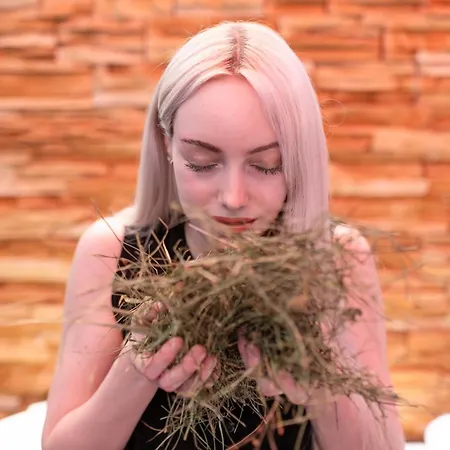 Vakantiehuis Ferienhaeuser Saalemaxx