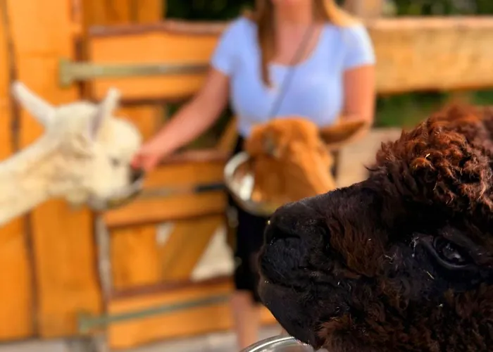 Casa vacanze Ferienhaeuser Saalemaxx Rudolstadt