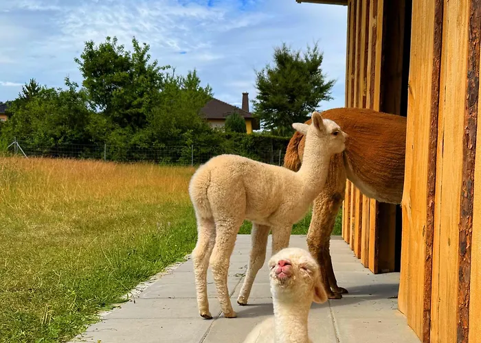 Ferienhaus Saalemaxx Rudolstadt