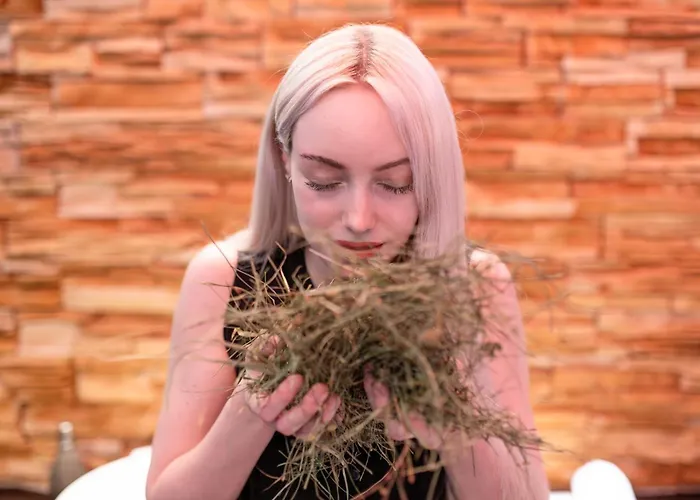 Vakantiehuis Ferienhaeuser Saalemaxx